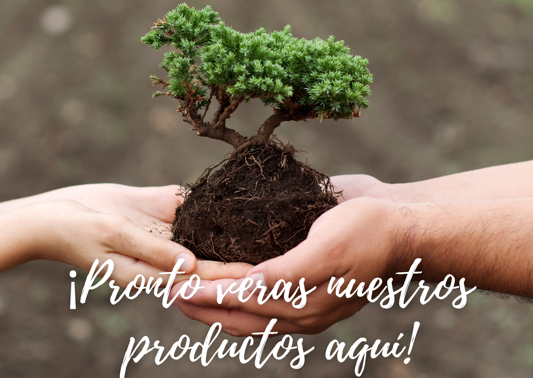 Productos no disponibles aún