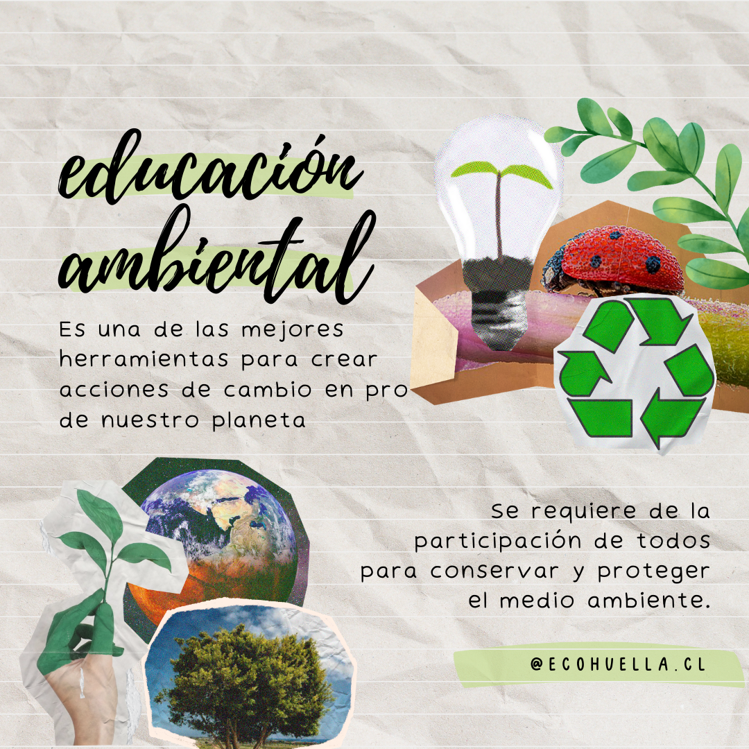 Imagen del Apartado 2