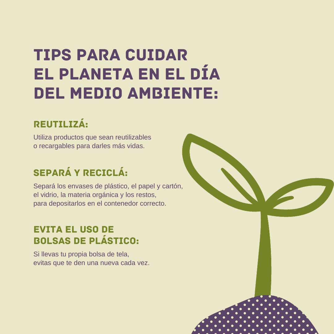 Imagen 2 de Eco Diseño