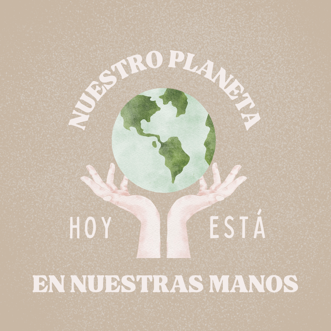 Imagen 1 de Eco Diseño